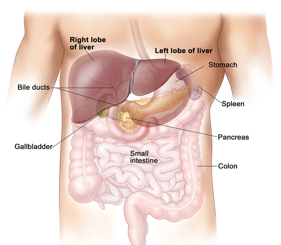 LAPAROSCOPY